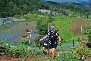 BIB: 
                            <button type="button" onclick="openModal(13379254)" class="btn btn-primary btn-sm float-right btn-popup" data-toggle="modal" data-target=".modal-high-quality">
                        <i class="fas fa-shopping-cart"></i> Add to Cart
                    </button>
                                            <button type="button" onclick="isThisMe(13379254, true)" class="btn btn-success btn-sm float-right btn-popup btn-isme hidden" data-toggle="tooltip" data-placement="bottom" title="นี่คือรูปของคุณใช่ไหม คลิกที่นี่เพื่อเอาเข้าอัลบั้ม">
                        <i class="fas fa-plus"></i> Add to album
                    </button>
                    <button type="button" onclick="isThisMe(13379254, false)" class="btn btn-warning btn-sm float-right btn-popup btn-isnotme hidden">
                        <i class="fas fa-ban"></i> Remove from album
                    </button>